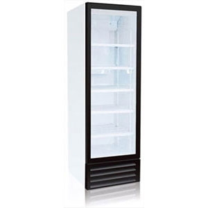 Frostor RV 300 G